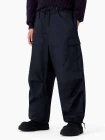 Повсякденні штани Emporio Armani модель 6R1P6W-1K24Z-0922 Фото