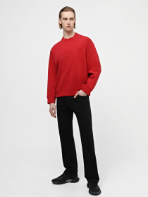 Світшот Emporio Armani модель 3D1MDX-1JHSZ-0363 Фото