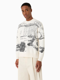 Джемпер Emporio Armani модель 3D1MV2-1M02Z-0103 Фото