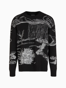 Джемпер Emporio Armani модель 3D1MV2-1M02Z-0999 Фото