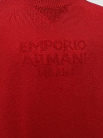 Джемпер Emporio Armani модель 3D1MX2-1MMJZ-F322 Фото