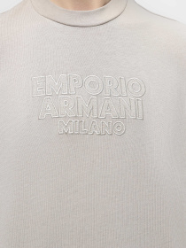 Футболка Emporio Armani модель 3D1T93-1J0EZ-0177 Фото