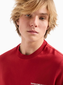 Футболка Emporio Armani модель 3D1TN3-1JOCZ-0366 Фото