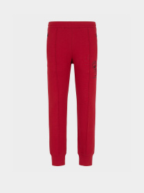 Штани спортивні Emporio Armani Chinese New Year модель EM000012-AF10013-U5078 Фото