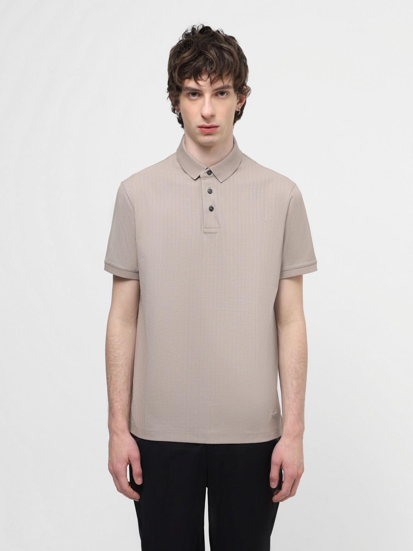 Поло Emporio Armani модель 3D1FM2-1JGYZ-F624 Фото