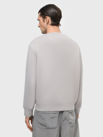 Свитшот Emporio Armani модель 3D1M70-1JHSZ-06I4 Фото