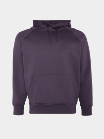 Худі Emporio Armani модель 3D1M88-1JOQZ-0861 Фото