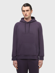 Худі Emporio Armani модель 3D1M88-1JOQZ-0861 Фото