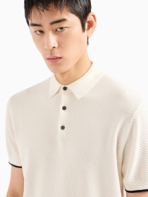 Поло Emporio Armani модель 3D1MXM-1MPGZ-F110 Фото