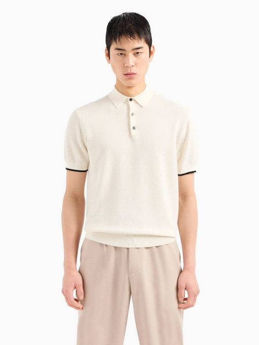 Поло Emporio Armani модель 3D1MXM-1MPGZ-F110 Фото