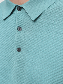 Поло Emporio Armani модель 3D1MXM-1MPGZ-F701 Фото