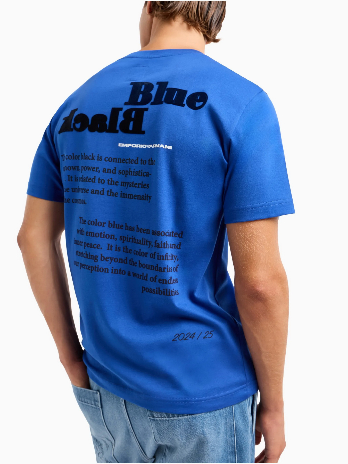 Футболка Emporio Armani модель 6D1TDQ-1JFFZ-09T0 Фото