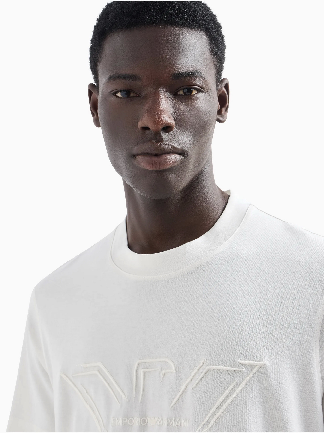 Футболка Emporio Armani модель 6D1TQ7-1JOCZ-01C7 Фото
