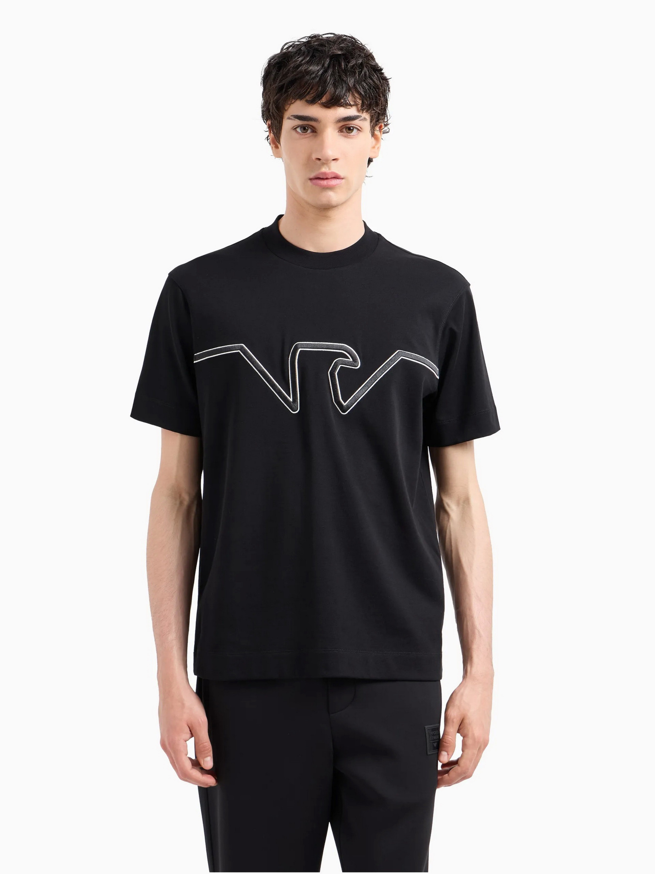 Футболка Emporio Armani модель 6D1TQ9-1JWZZ-0039 Фото