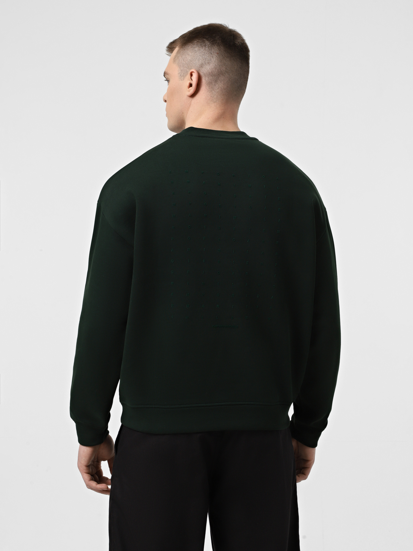 Свитшот Emporio Armani модель 6D1M95-1JTAZ-0565 Фото