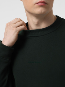 Свитшот Emporio Armani модель 6D1M95-1JTAZ-0565 Фото