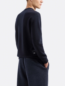 Джемпер Emporio Armani Travel Essentials модель EM000103-AF10401-UB118 Фото