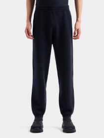 Штаны спортивные Emporio Armani Travel Essentials модель EM000102-AF10401-UB118 Фото