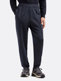 Штаны спортивные Emporio Armani Travel Essentials модель EM000310-AF10857-OB008 Фото