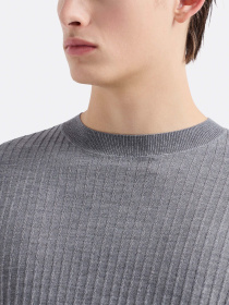 Джемпер Emporio Armani Travel Essentials модель EM000130-AF10460-O8003 Фото