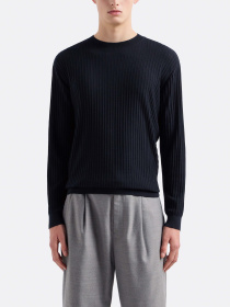 Джемпер Emporio Armani Travel Essentials модель EM000130-AF10460-UB118 Фото