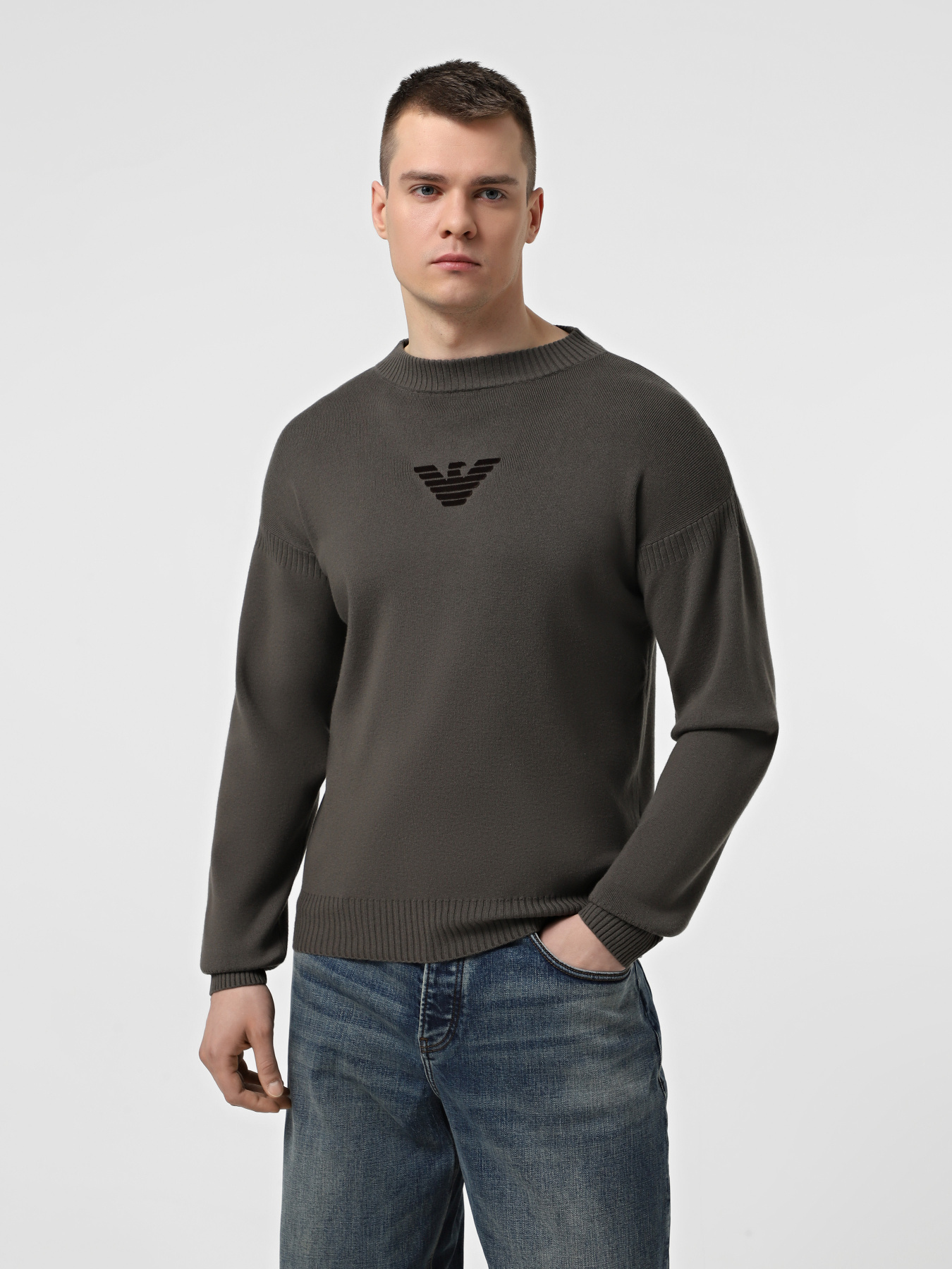 Джемпер Emporio Armani Icon Project модель EM000515-AF12177-U8112 Фото