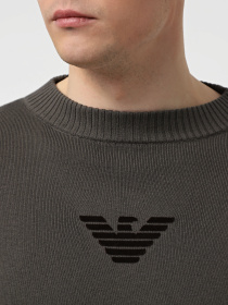 Джемпер Emporio Armani Icon Project модель EM000515-AF12177-U8112 Фото