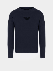 Джемпер Emporio Armani Icon Project модель EM000515-AF12177-UB109 Фото