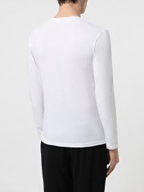 Лонгслив Emporio Armani модель 111023-4F512-00010 Фото
