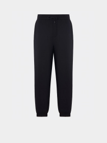 Штаны спортивные Emporio Armani модель EM001746-AF10013-UC001 Штаны спортивные Emporio Armani модель EM001746-AF10013-UC001 Фото