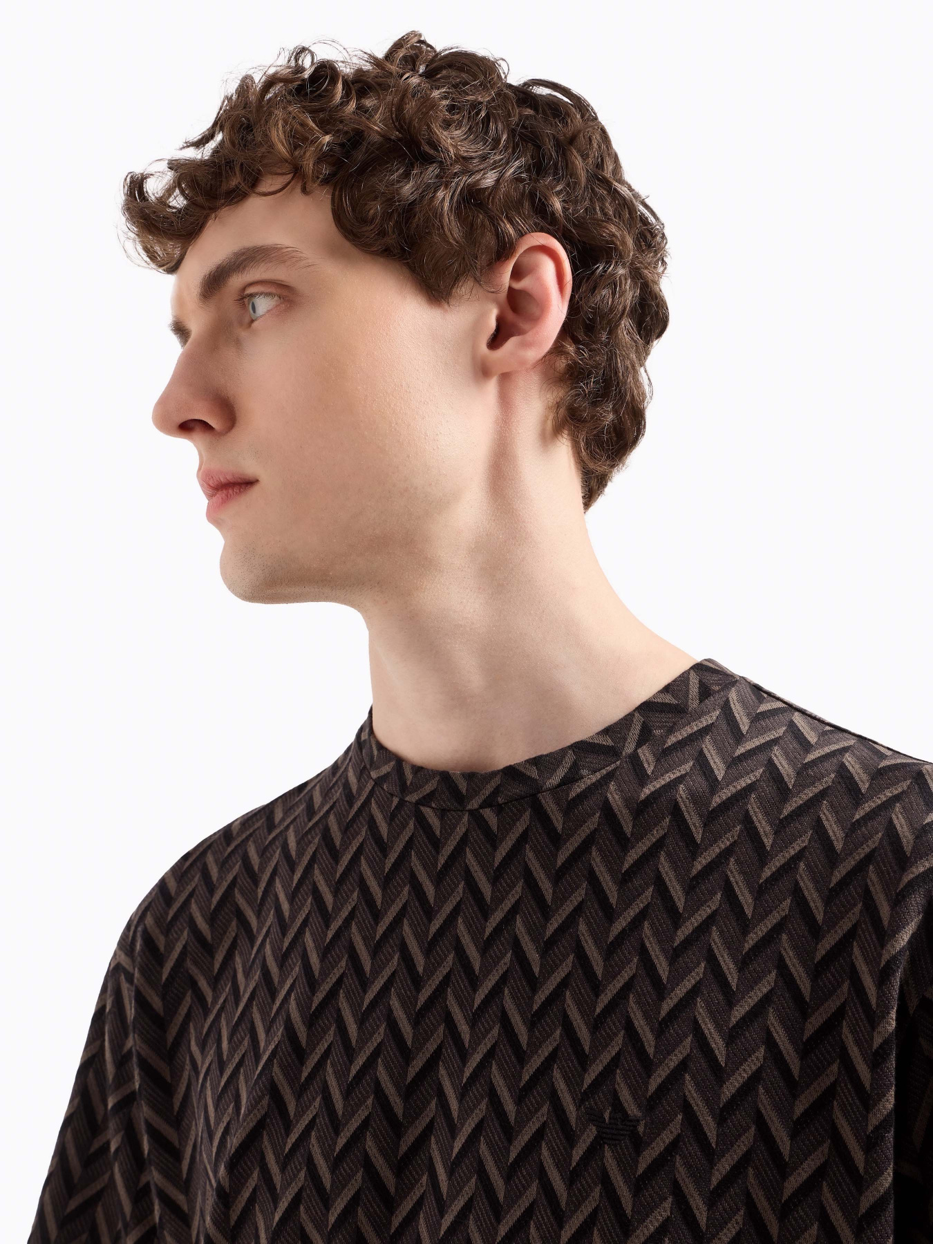 Футболка Emporio Armani модель EM001896-AF15439-F8120 Фото