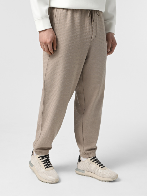 Штани спортивні Emporio Armani модель EM001106-AF13700-U6107 Фото