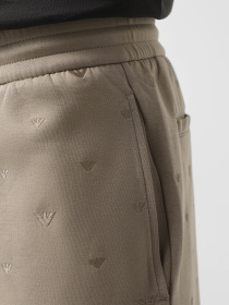 Шорты Emporio Armani модель EM001403-AF10013-F6064 Фото