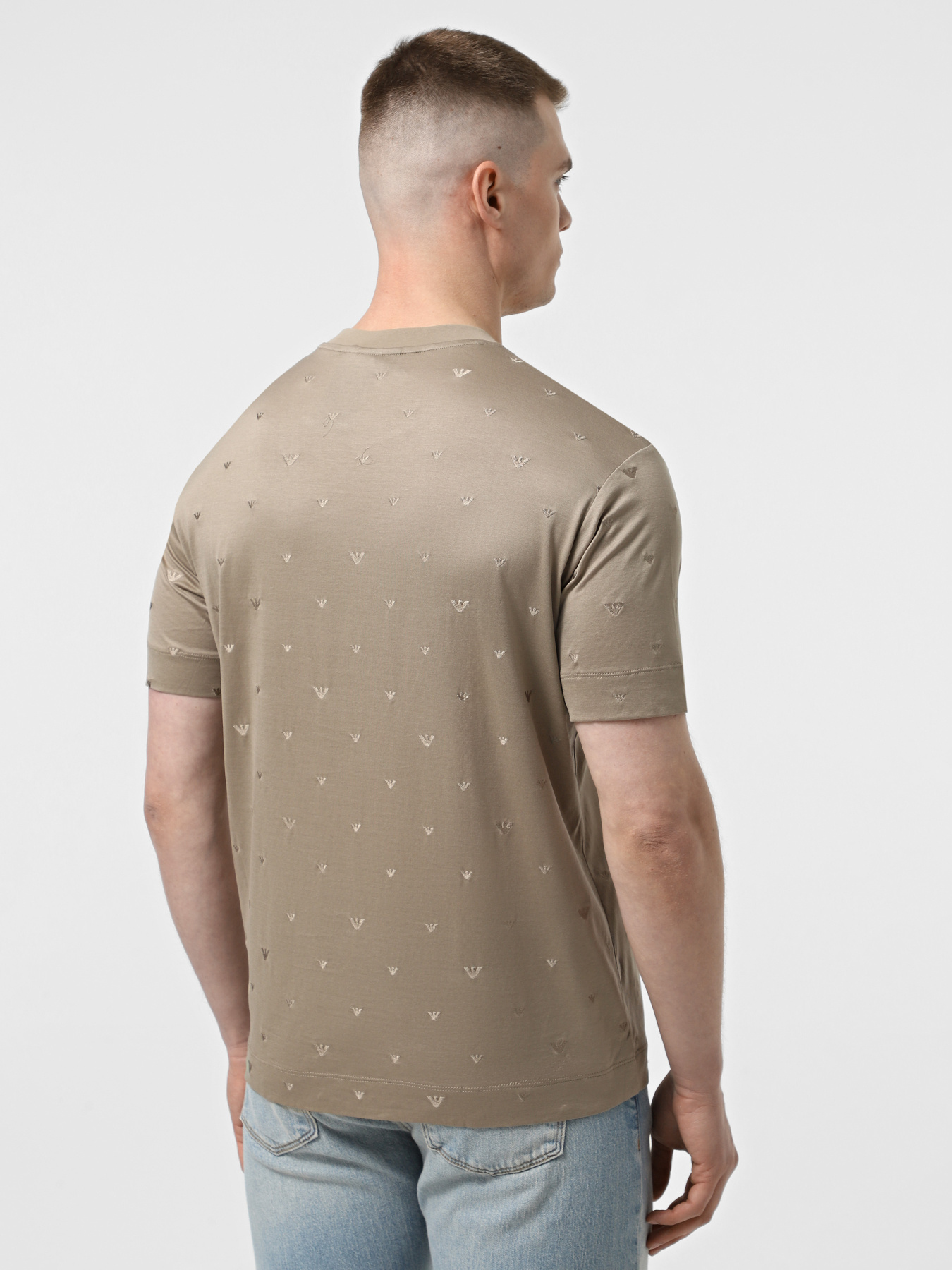 Футболка Emporio Armani модель EM001400-AF10017-F6064 Фото