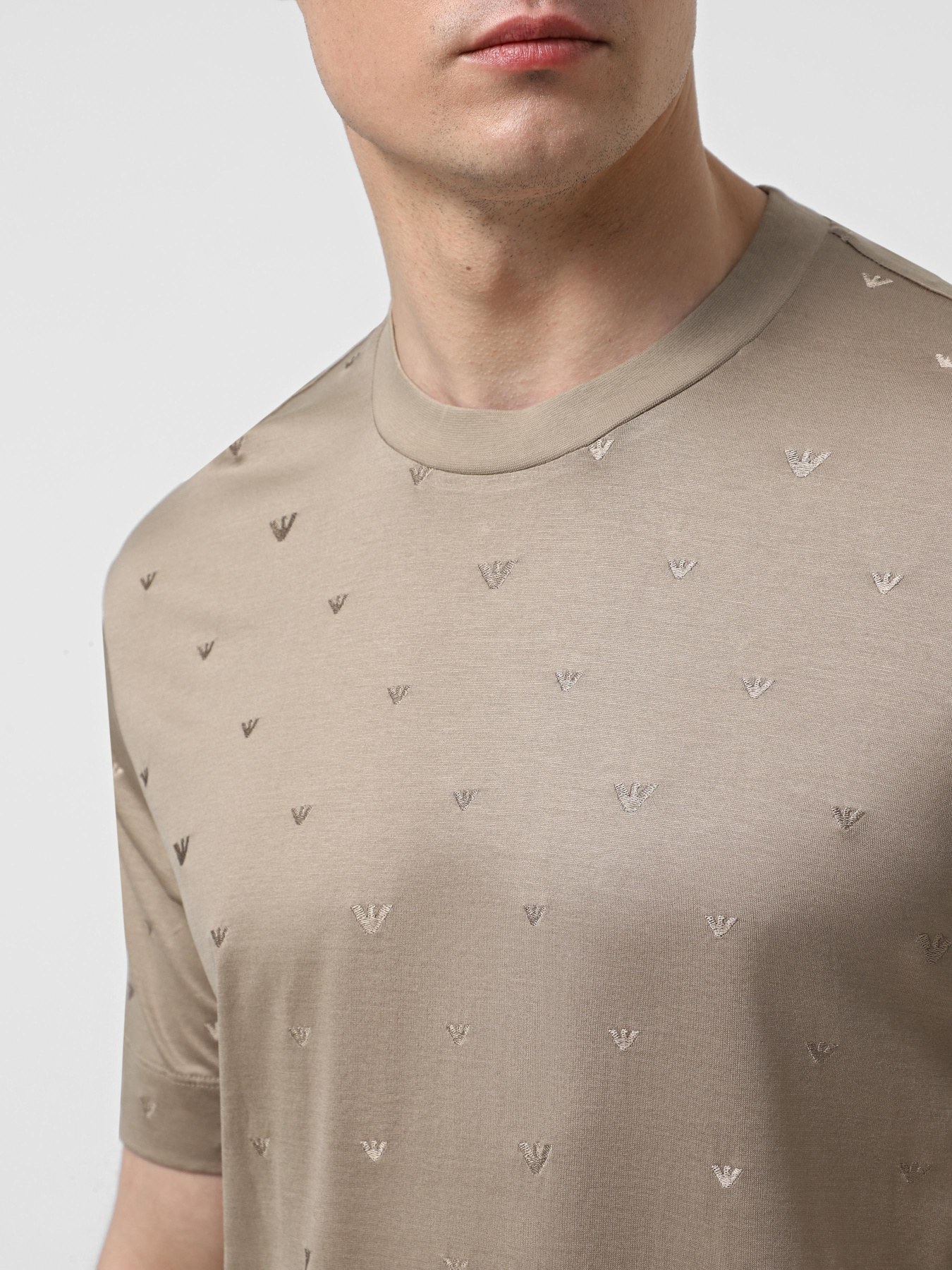 Футболка Emporio Armani модель EM001400-AF10017-F6064 Фото