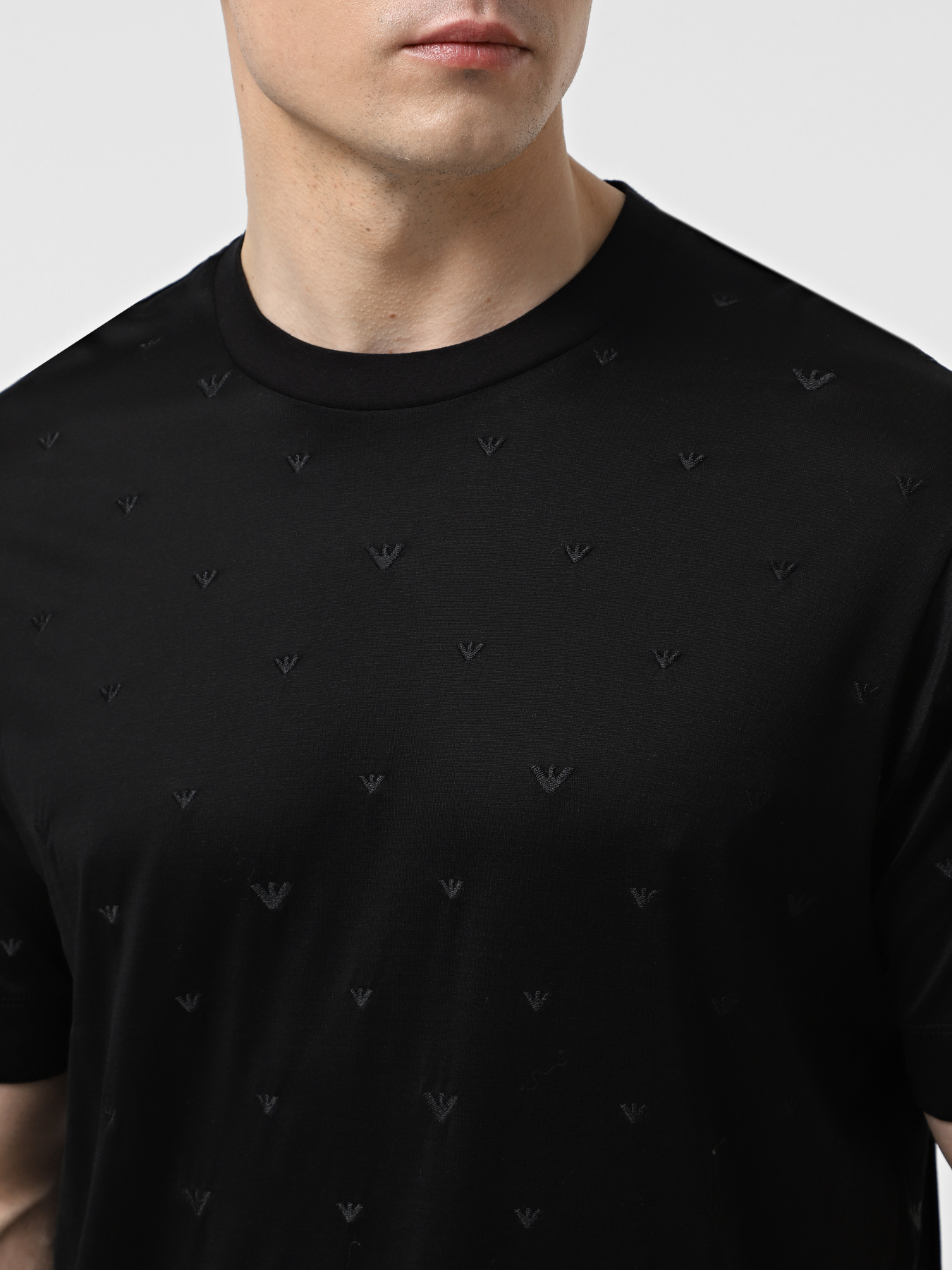 Футболка Emporio Armani модель EM001400-AF10017-UC001 Фото