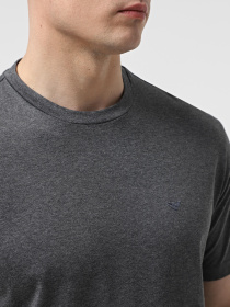 Футболка Emporio Armani модель EM003900-AF18718-O8003 Фото