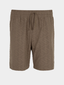 Шорты для плавания Emporio Armani модель EM000695-AF12362-U6189 Фото