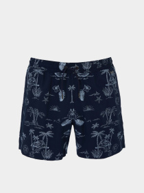 Шорты для плавания Emporio Armani модель EM001377-AF12358-FB105 Фото