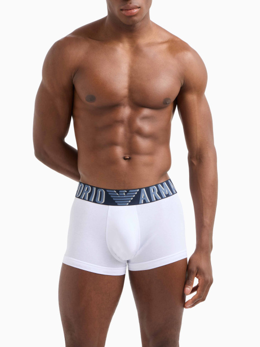 Трусы Emporio Armani модель EM000231-AF10772-U0002 Фото