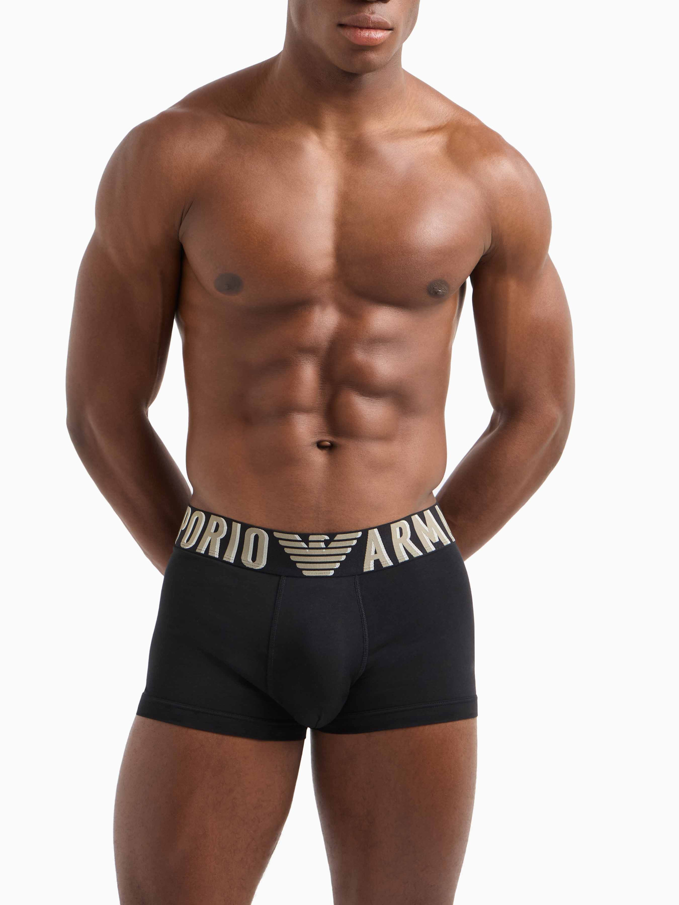 Трусы Emporio Armani модель EM000231-AF10772-UC001 Фото