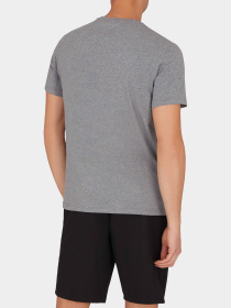 Набір футболок Emporio Armani модель EM000391-AF10776-M8074 Фото