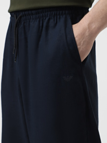 Брюки повседневные Emporio Armani модель EM000586-AF12356-UB102 Фото