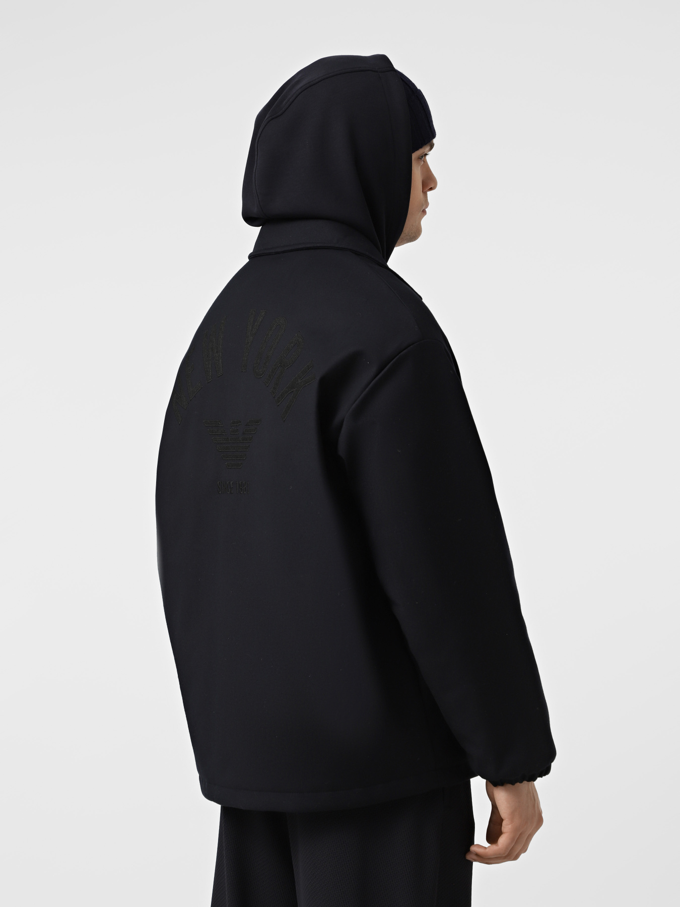 Демисезонная куртка Emporio Armani модель EM004256-AF16323-UB110 Фото