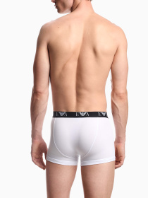 Набор трусов Emporio Armani модель EM000259-AF14131-M0066 Фото