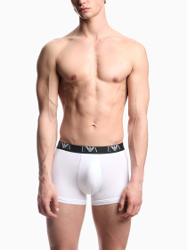 Набір трусів Emporio Armani модель EM000259-AF14131-M0066 Фото