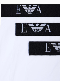 Набір трусів Emporio Armani модель EM000259-AF14131-M0066 Фото