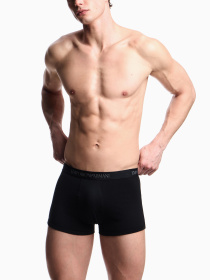 Набір трусів Emporio Armani модель EM000260-AF10800-MC200 Фото