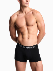 Трусы Emporio Armani модель EM000231-AF14133-UC001 Фото