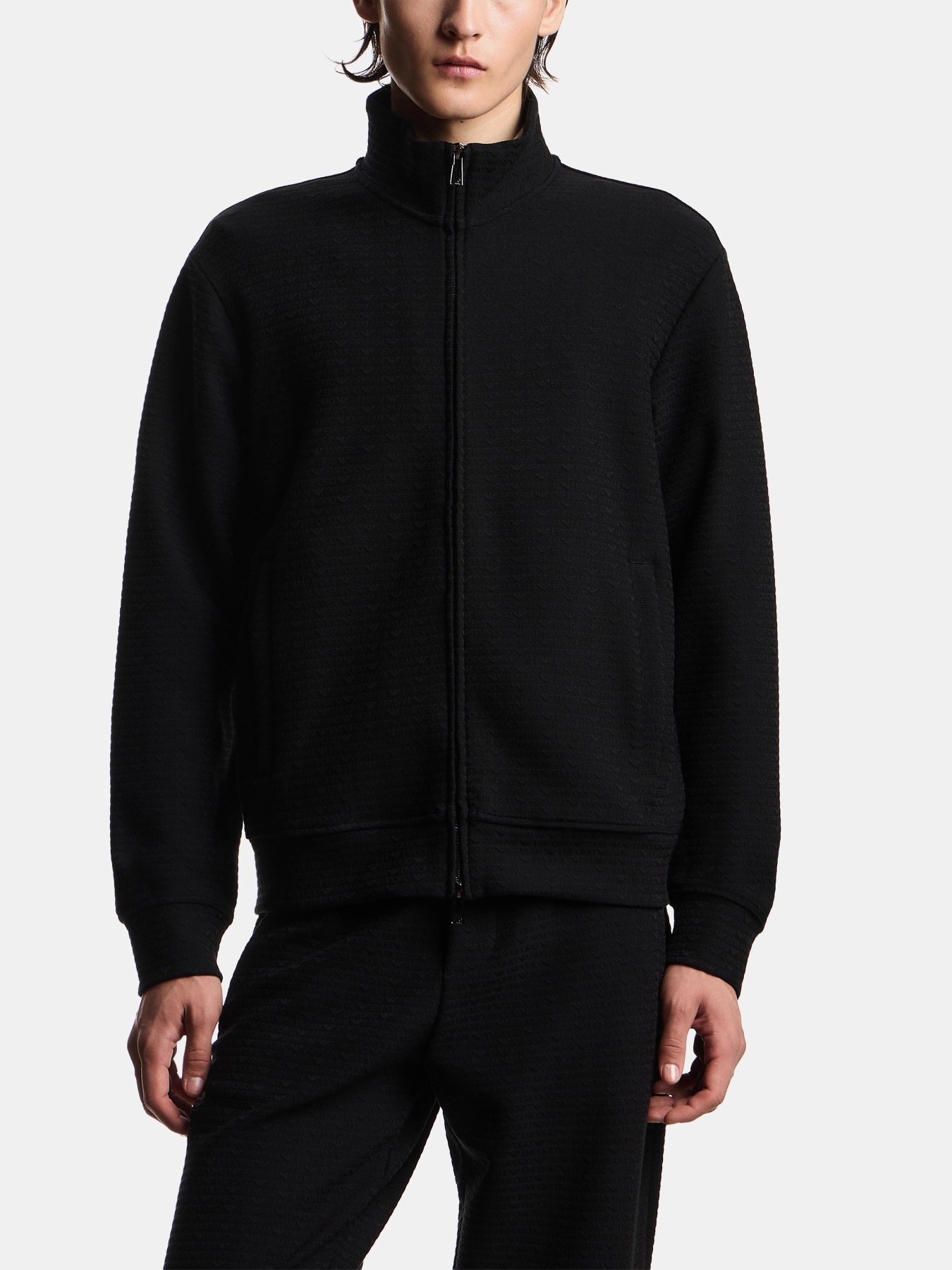 Кофта Emporio Armani модель EM004534-AF13700-FC293 Фото